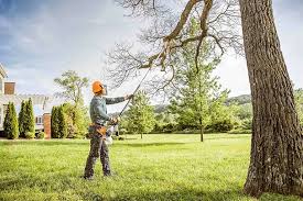 Best Tree Risk Assessment  in West Liberty, WV